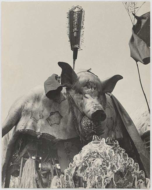 The Pig Sacrificing Ceremony in Sanshia Series 