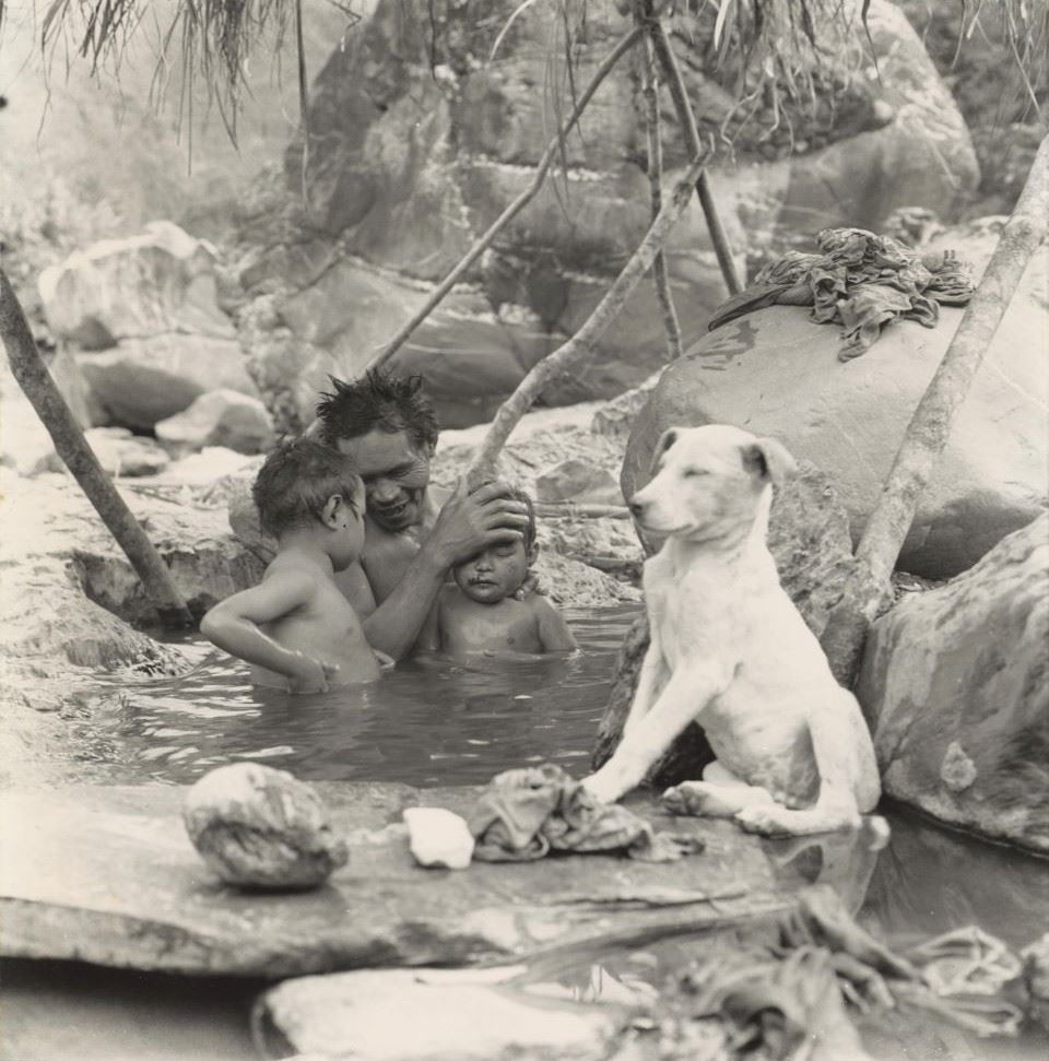 Father and Son Bathing with a White Dog
