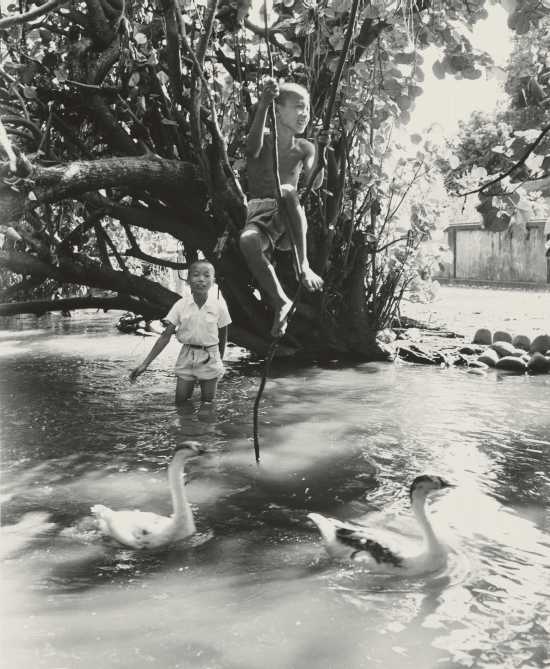 Children Playing in Water